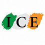 The Irish College of English (Ирландия)